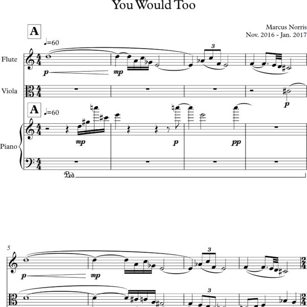 Marcus Norris - YOU WOULD TOO - Sheet Music